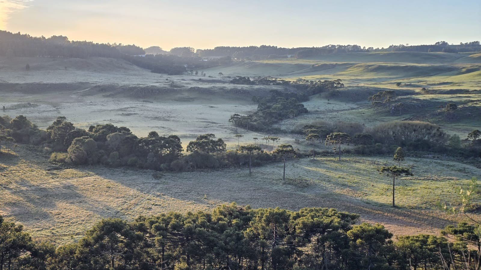 Massa de ar polar avança e temperaturas despencam em SC; veja como fica 1ª semana do inverno