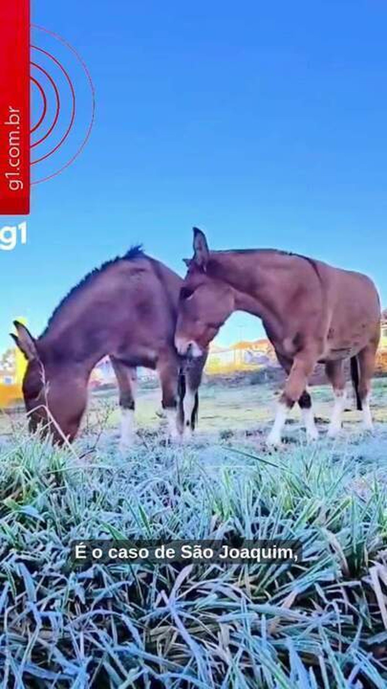 Menos frio e mais chuva na Serra de SC: como o El Niño vai afetar o inverno em uma das regiões mais geladas do Brasil