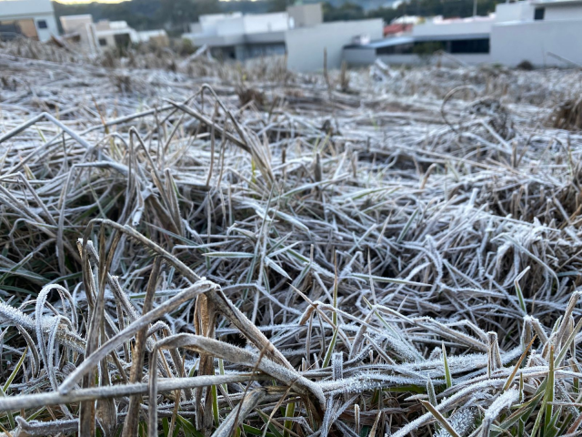 Maravilha registra mínima de -1,8°C nesta quinta-feira (25)