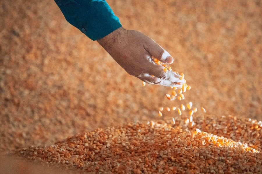 Projetos sobre saúde, educação, agricultura e inclusão começam a tramitar na Alesc