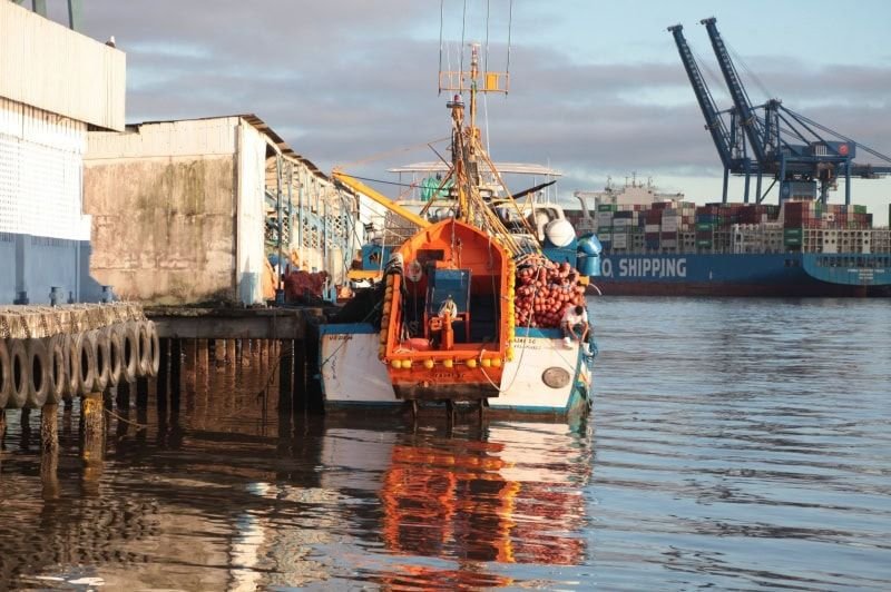 Dia do Pescador destaca importância da atividade para a economia e a cultura de Itajaí
