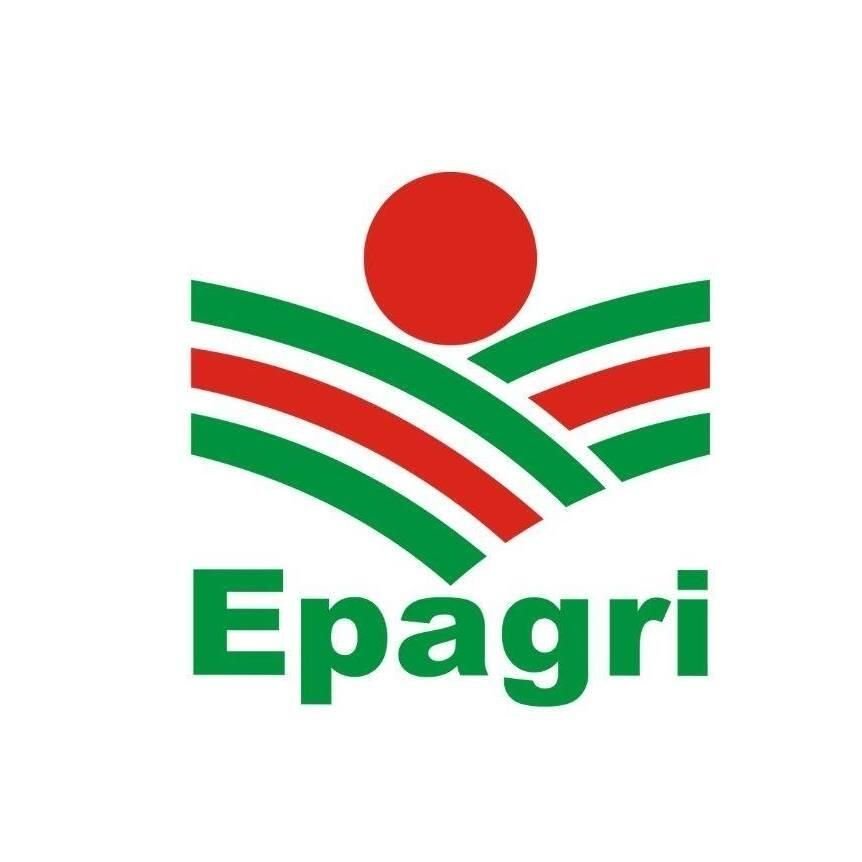 Epagri constata avanço na eficiência produtiva do agro em Itapiranga