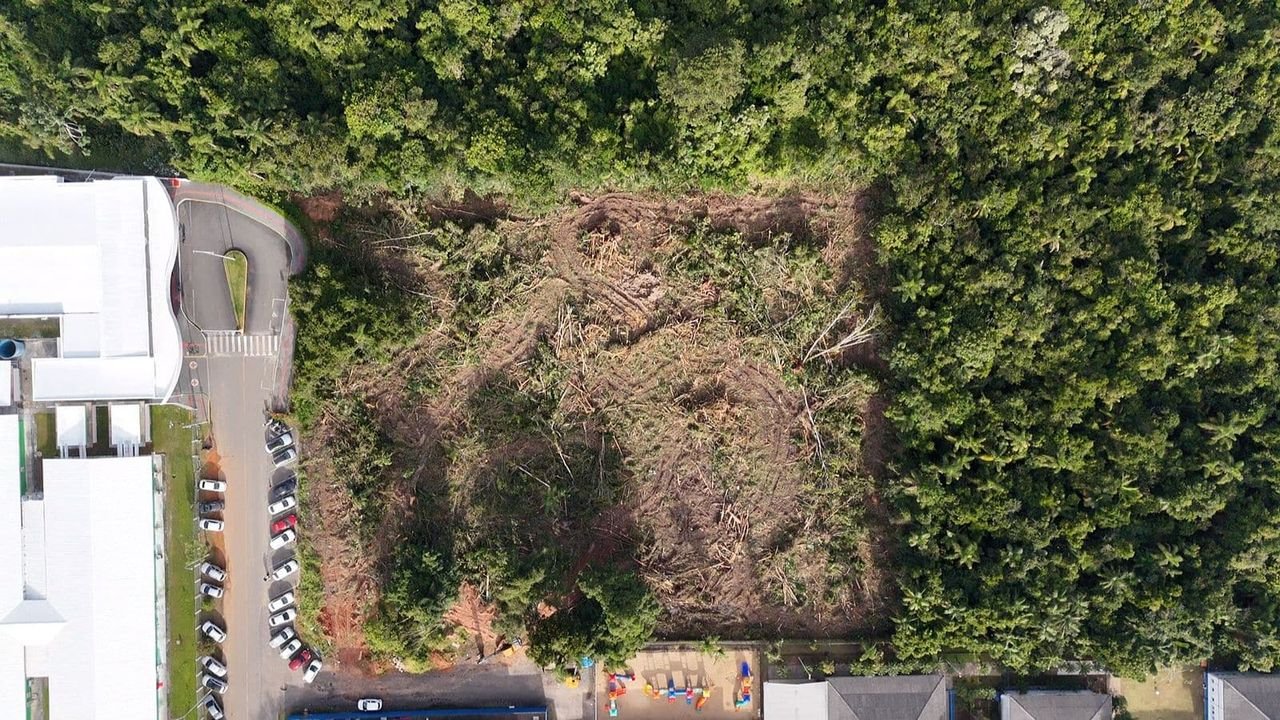 Construção da primeira policlínica de BC avança com início da retirada da vegetação do terreno