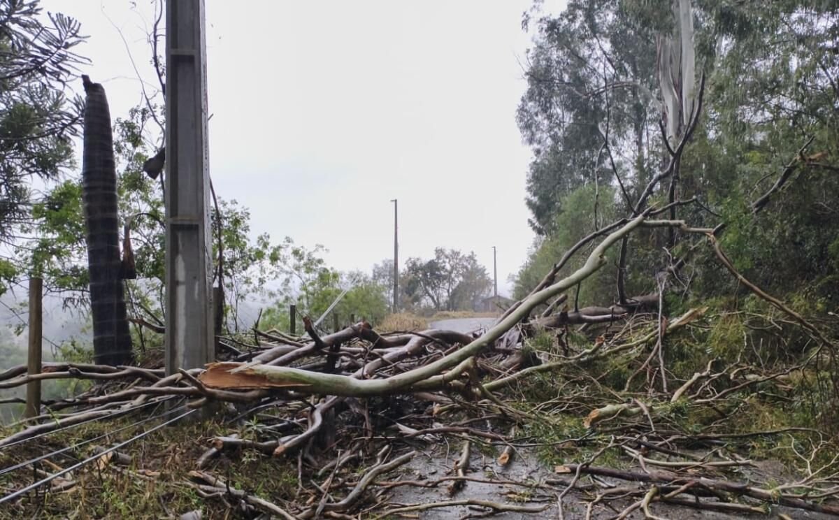 Três municípios de SC decretam situação de emergência após temporais