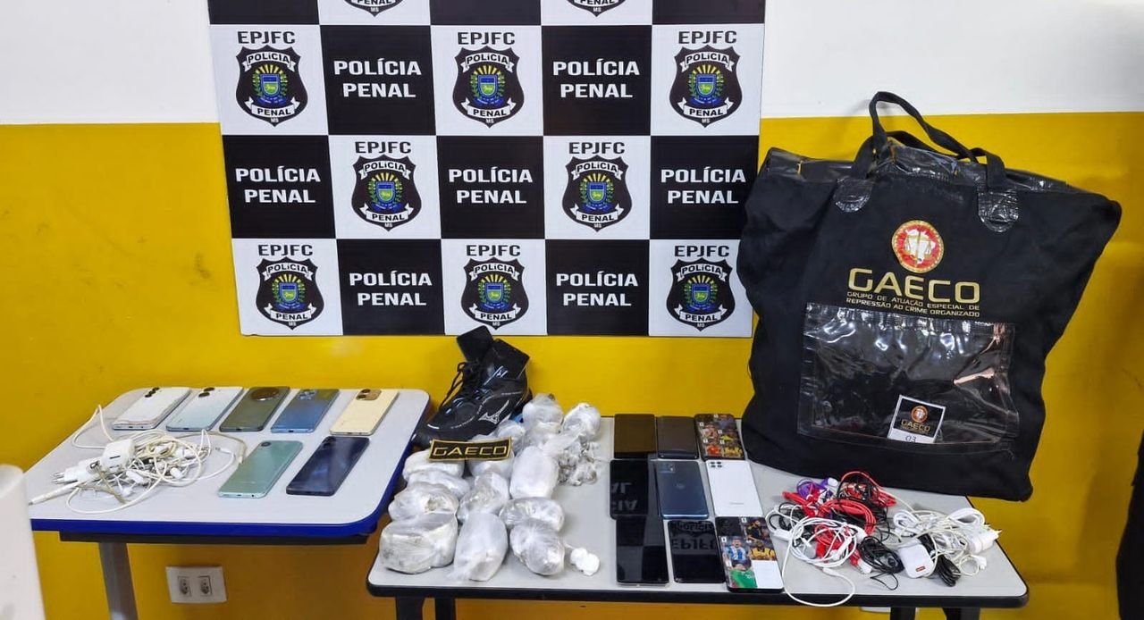 Operação Coluna Sul cumpre 147 prisões e apreensões em seis estados, informa MPSC