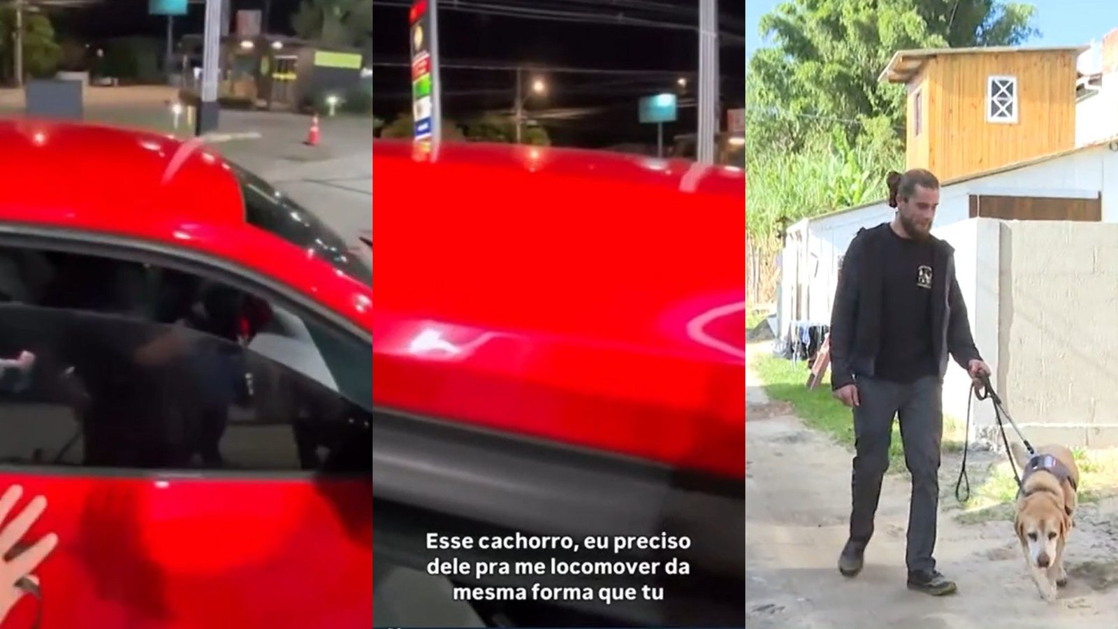 Motorista de app se recusa a levar homem cego com cão-guia em SC para 'não soltar pelo'; VÍDEO