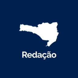 ARTIGO: Combater o feminicídio é defender a vida e os valores humanos - Santa Catarina em Pauta