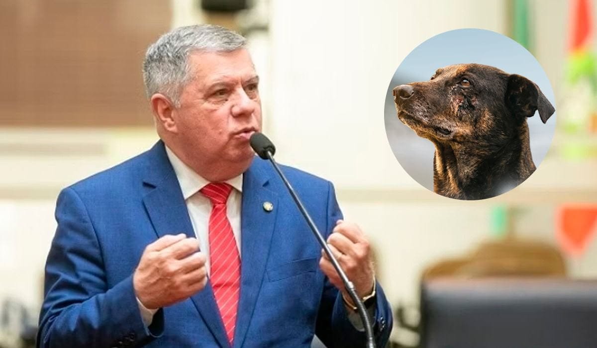 Pedido de CPI do Caso Orelha aguarda análise jurídica na Alesc - Santa Catarina em Pauta