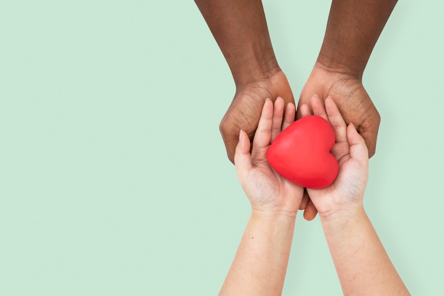 Santa Catarina supera média nacional em número de doadores de sangue