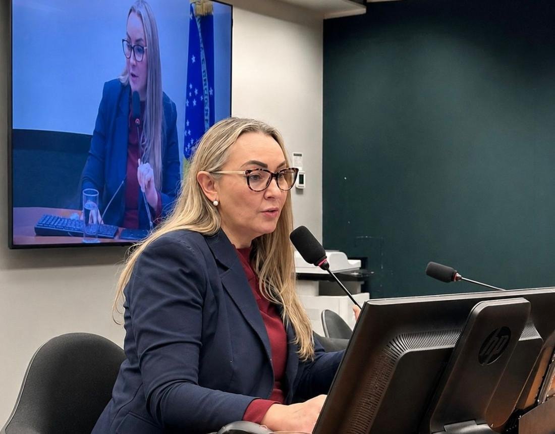 Daniela Reinehr lidera debate sobre Rota dos Vales, vinhos de altitude e turismo rural na Câmara Federal