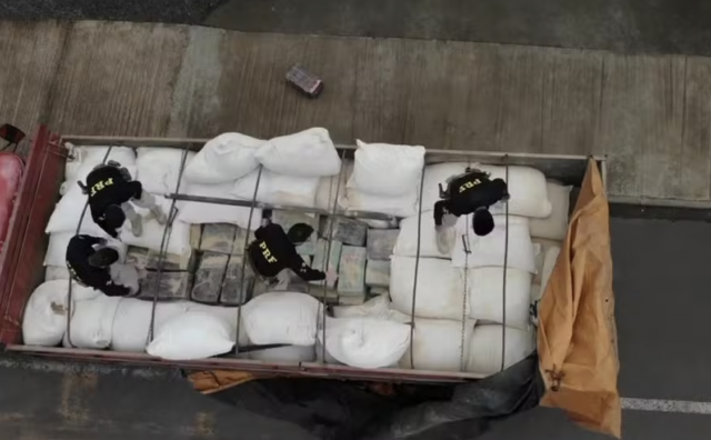 PRF apreende cerca de 800 quilos de maconha escondidos em caminhão com placas de Palma Sola