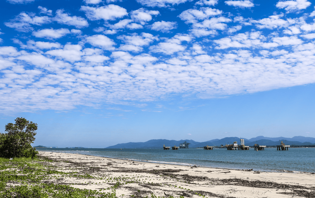 MPSC promove debate sobre impactos de projeto portuário na Baía da Babitonga - Santa Catarina em Pauta
