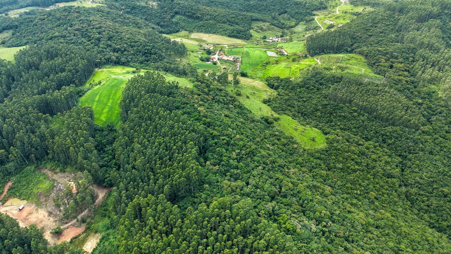 Programa Mais Verde abre inscrições para proprietários rurais com vegetação nativa preservada - Santa Catarina em Pauta