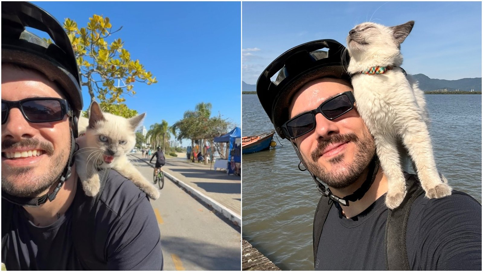 VÍDEO: Gato passeia de bicicleta nos ombros do tutor em SC e reações do animal viralizam: 'soltando bafinho'