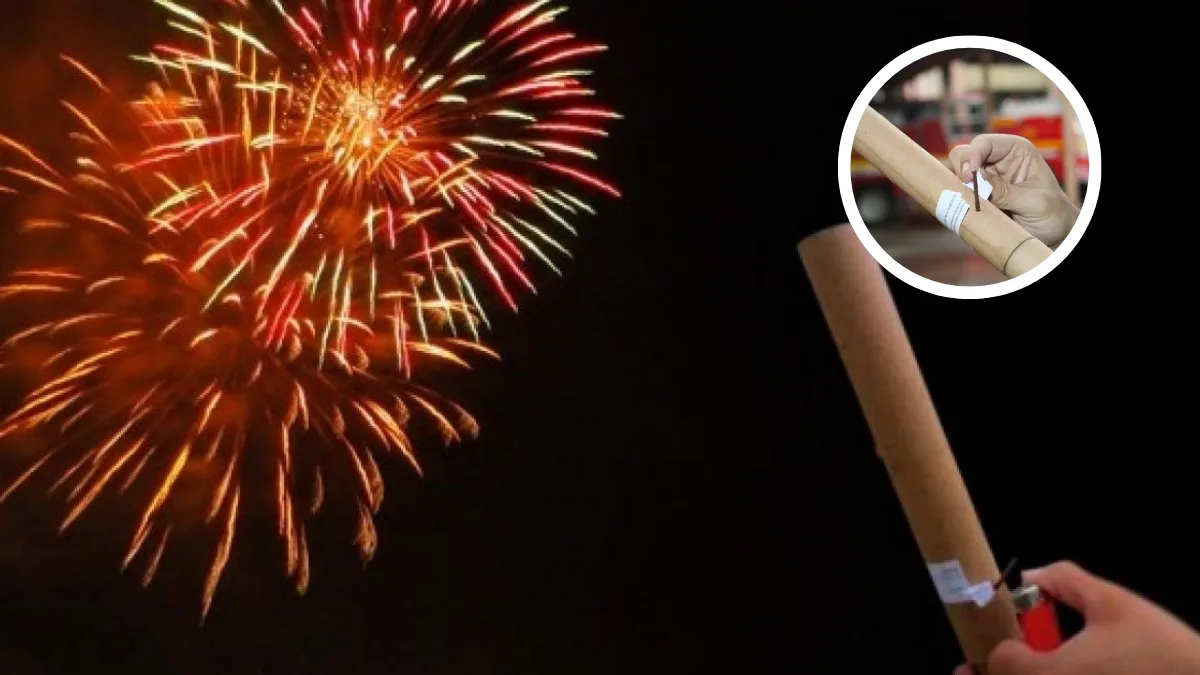 SC proíbe fogos de artifício com estampido para proteger autistas e animais