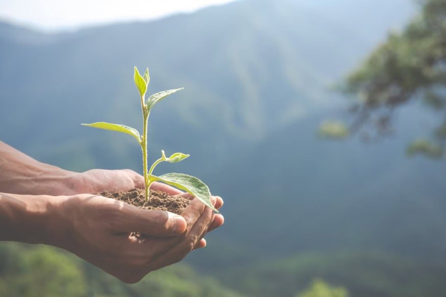 TAC obriga consórcio do Planalto Norte a corrigir falhas no licenciamento ambiental - Santa Catarina em Pauta