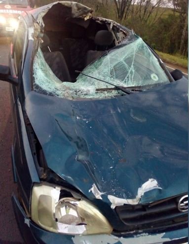 Motorista fica ferido depois de atropelar um bovino na BR-163