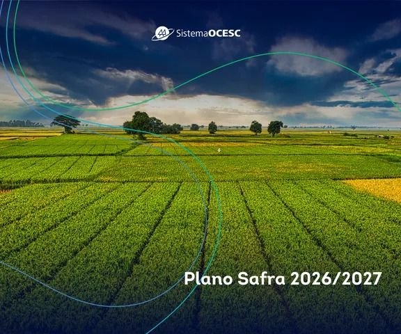 Plano Safra 2026/2027 traz avanços, mas preocupa lideranças do cooperativismo quanto ao crédito e ao seguro rural