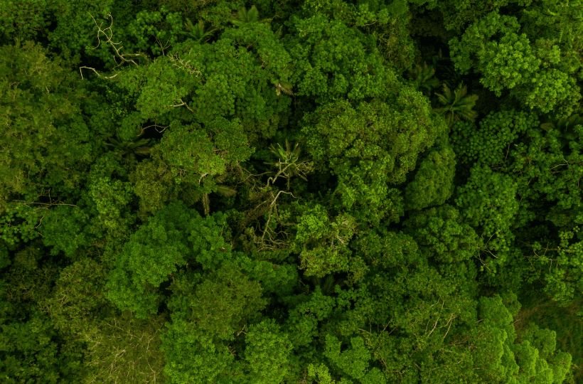 TJSC mantém condenação do IMA por omissão em fiscalização de ocupação irregular na Serra do Tabuleiro