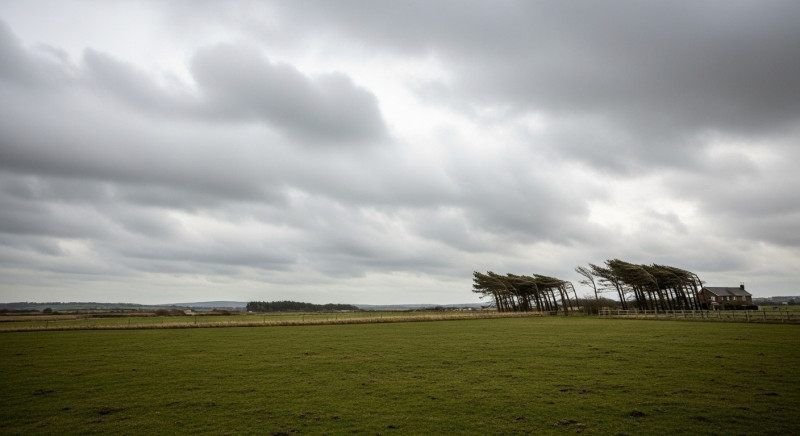 Ventos podem superar 80 km/h em algumas regiões de Santa Catarina