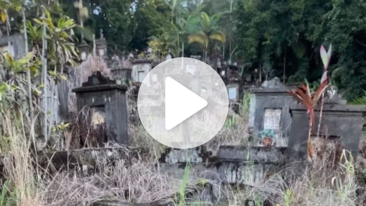 Morador mostra cemitério de quase 200 anos tomado pelo mato em Joinville: ‘Dá vontade de trazer a roçadeira’