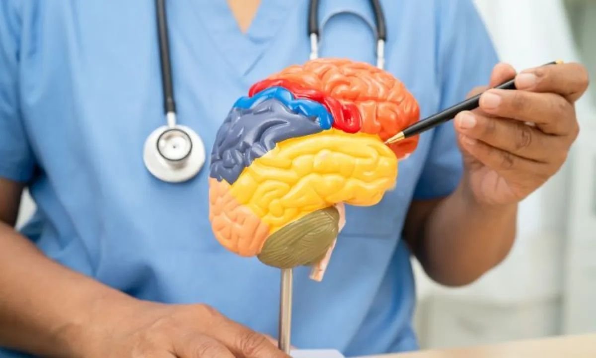 Cómo cuidar el cerebro para prevenir ACV y el deterioro cognitivo