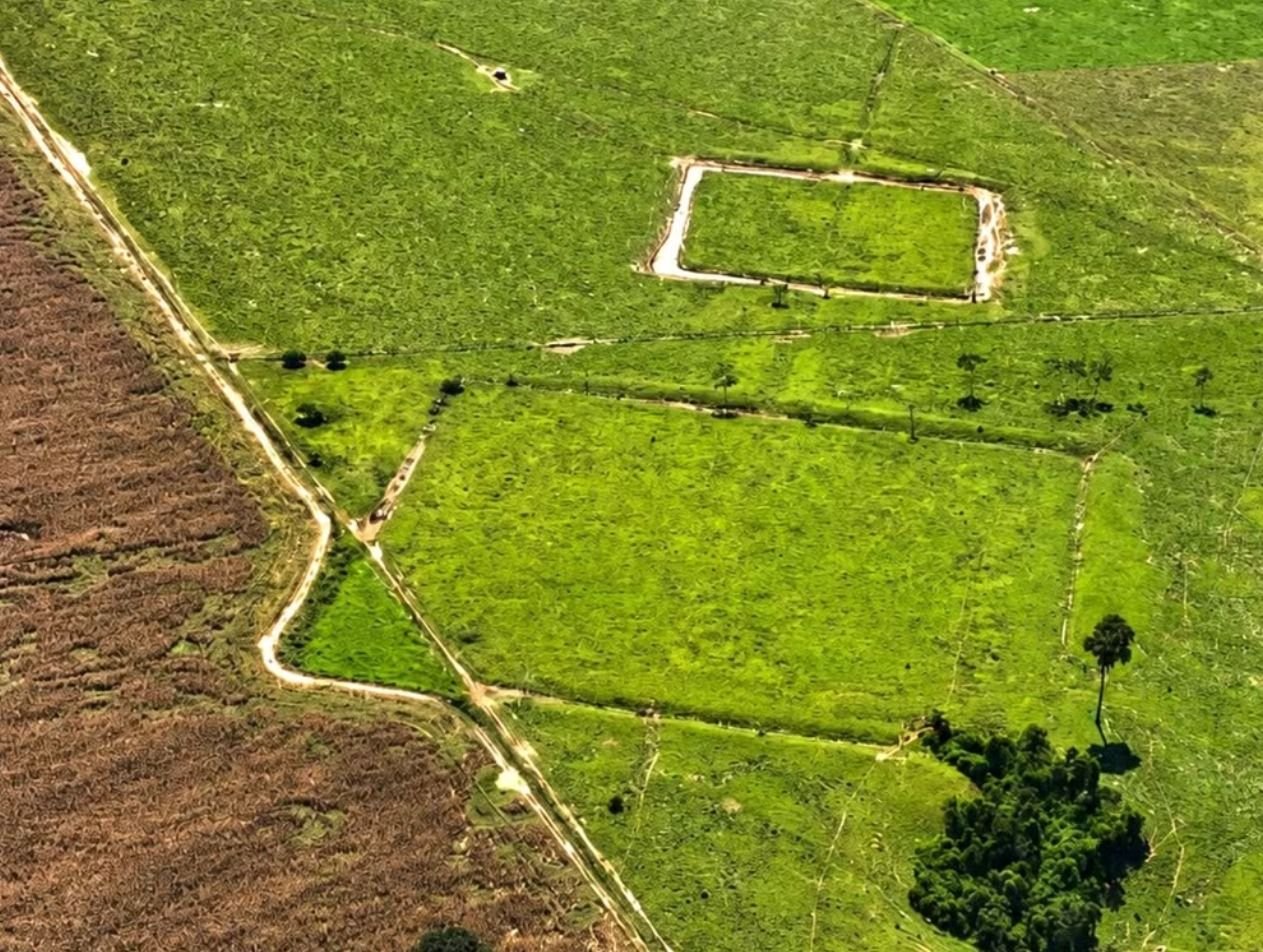 Estudo revela 396 novos geoglifos na Amazônia com tecnologia LiDAR