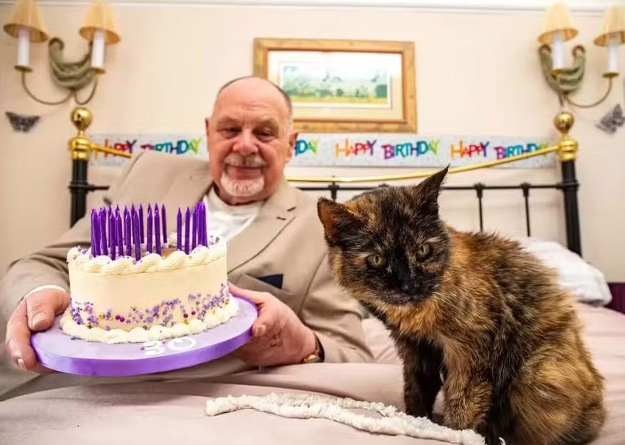Gata de 31 anos pode se tornar a mais velha do mundo pelo Guinness