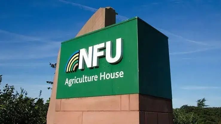Produtores britânicos solicitam controle sobre importação de carne brasileira
