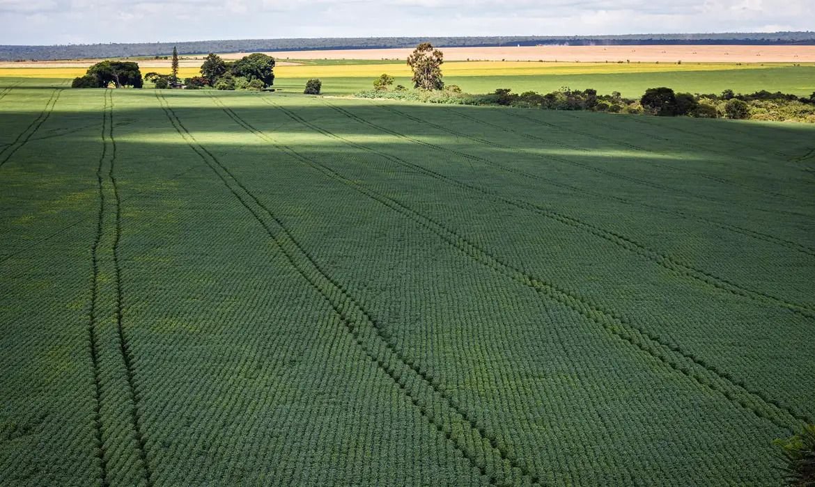 Senado aprova programa para ampliar produção de fertilizantes no Brasil