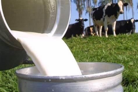 Epagri alerta sobre risco de importações devido à recuperação do preço do leite