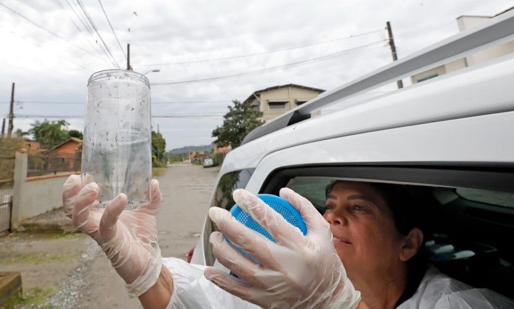 Joinville amplia Método Wolbachia para toda a área urbana no combate à dengue