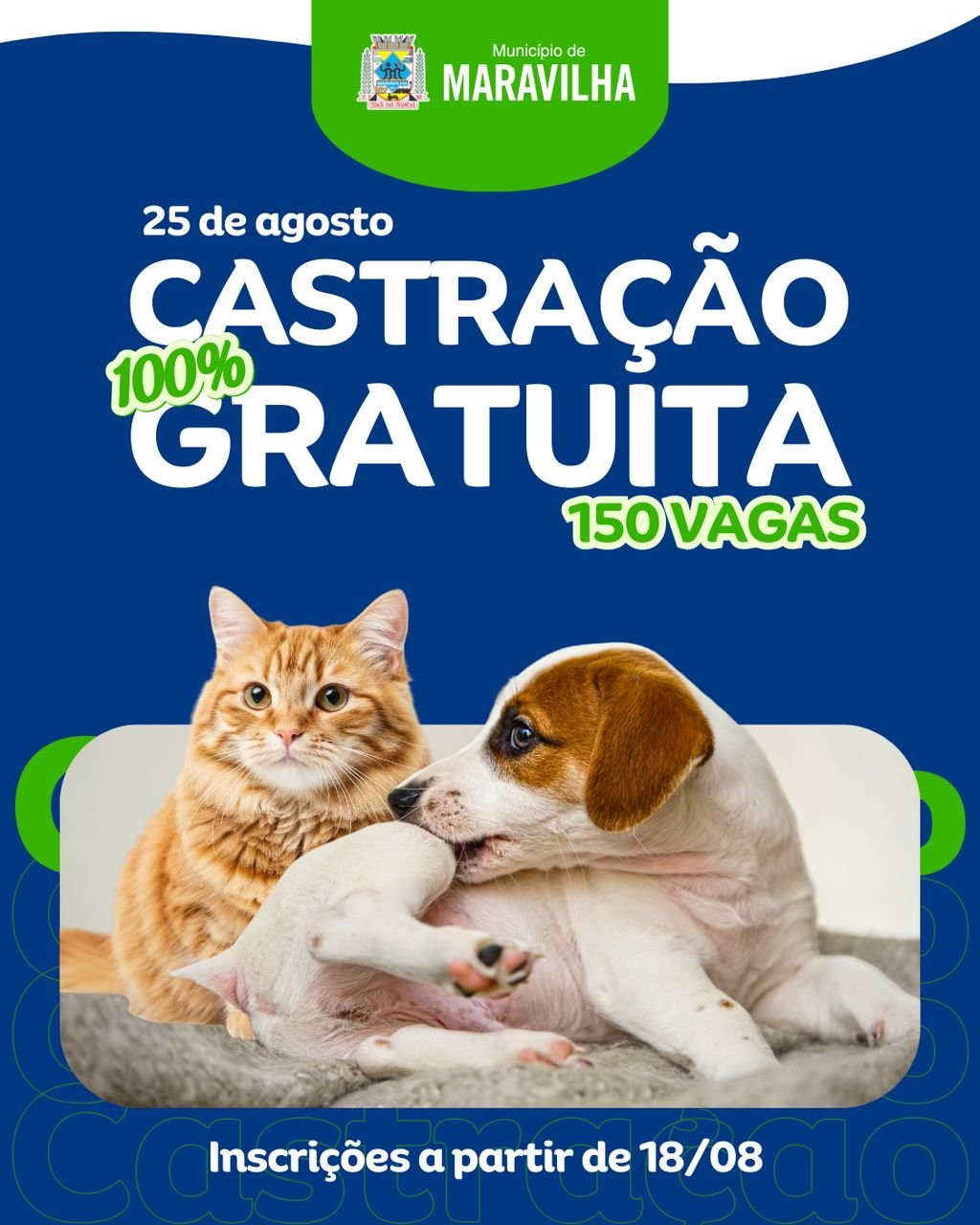 Castração gratuita de cães e gatos em Maravilha tem data marcada