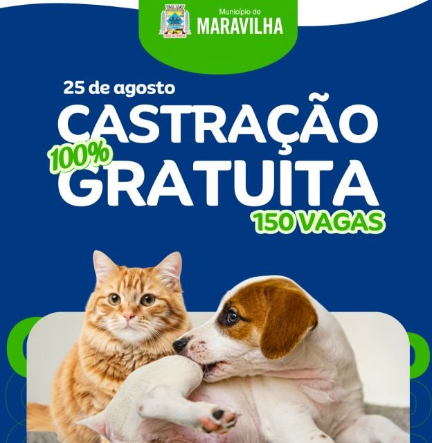 Maravilha realiza castração gratuita de cães e gatos em agosto