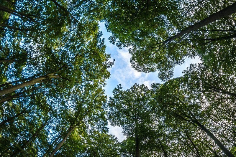 FIESC discute emissões da indústria catarinense em reunião sobre sustentabilidade