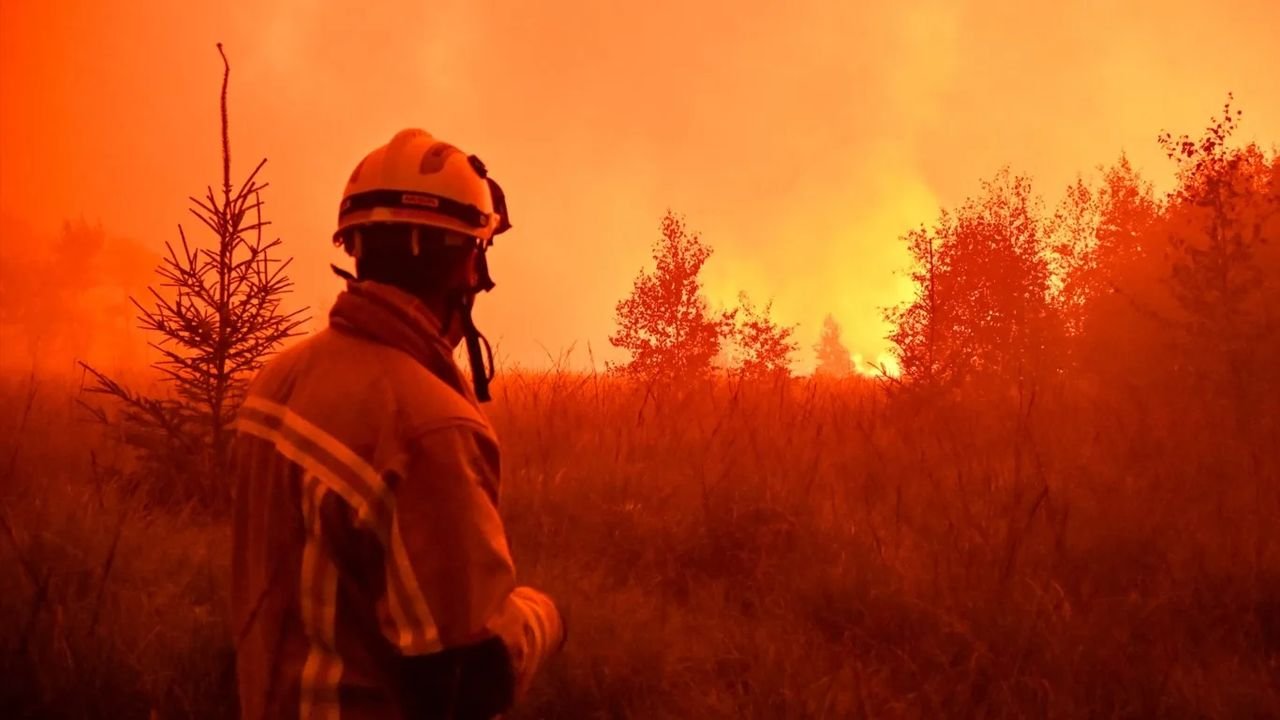 Bélgica enfrenta maior incêndio florestal em 115 anos, atingindo 3 mil hectares
