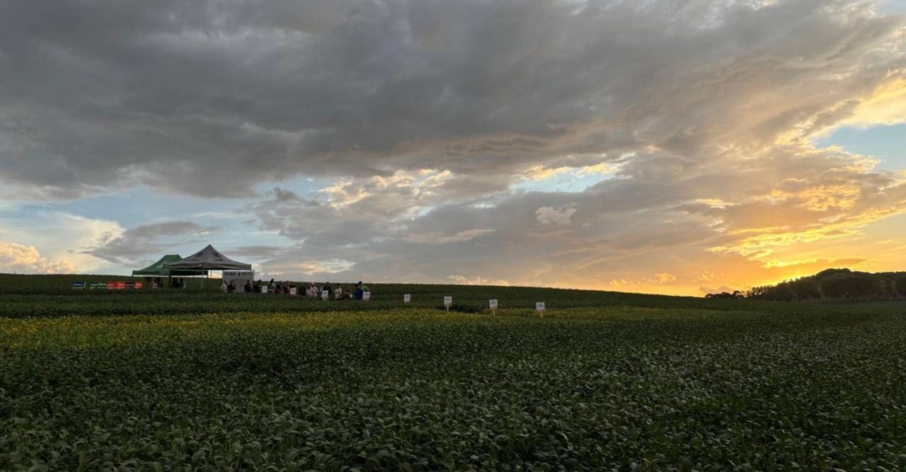 BNDES aprova R$ 47,3 mi para Cooperalfa construir silo em Itaiópolis