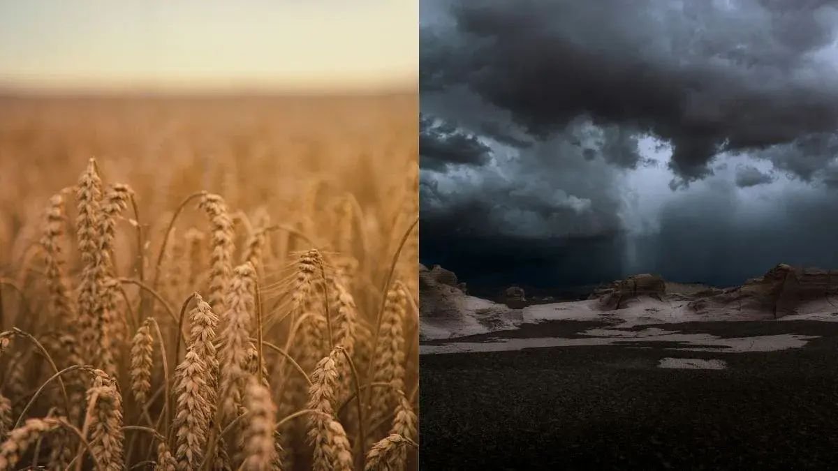 El Niño pode elevar preços de alimentos em SC nos próximos meses