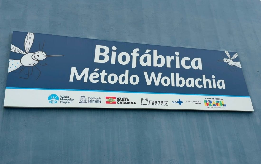 Itajaí planeja biofábrica para controle de dengue, zika e chikungunya