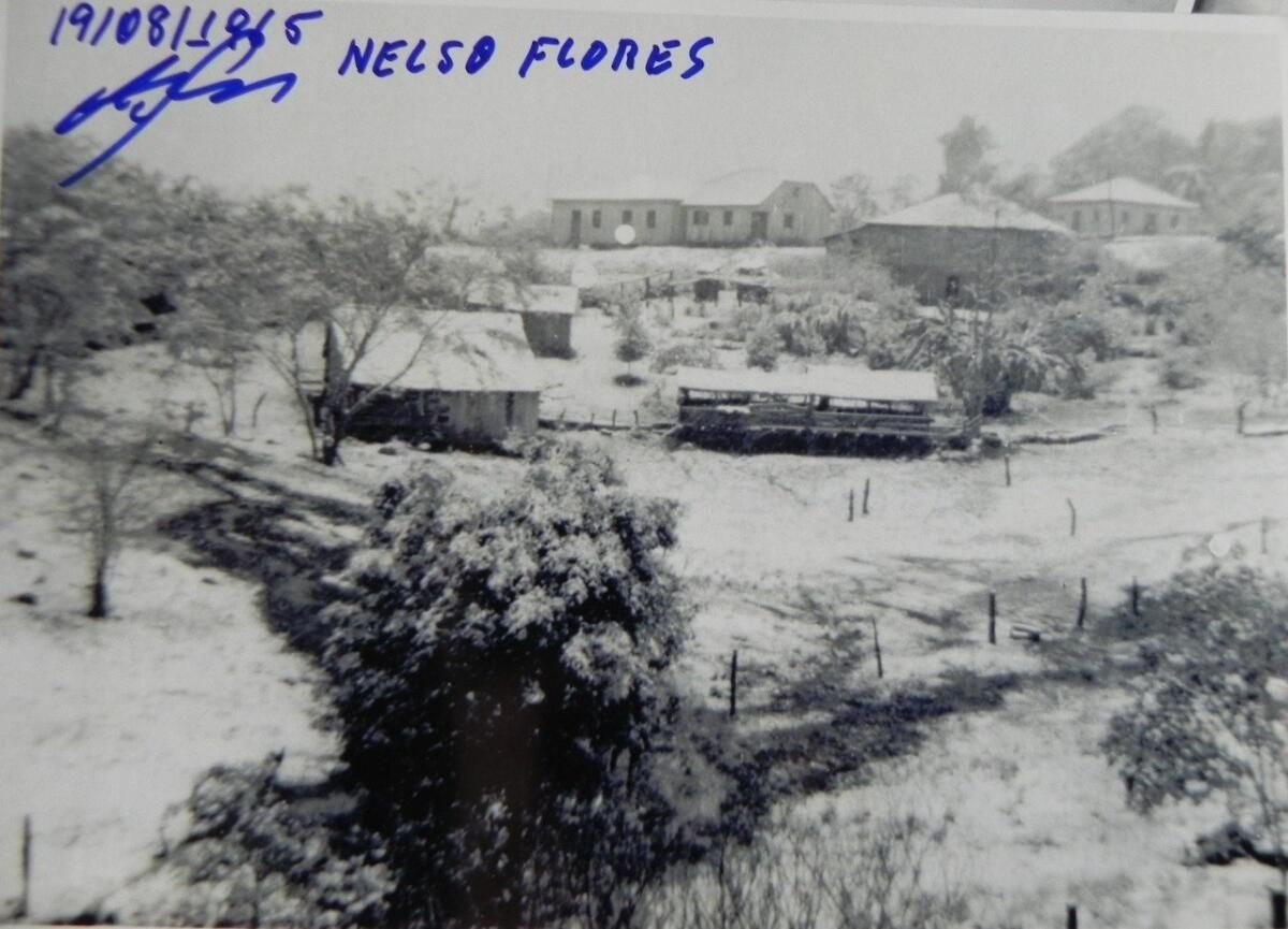 Morador de Iporã do Oeste relembra a nevasca histórica de 1965