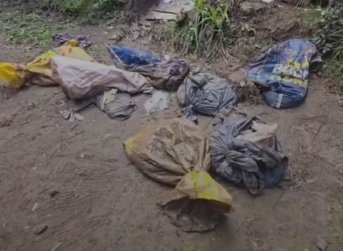 Cães mortos são encontrados em sacos de lixo em Lages, SC