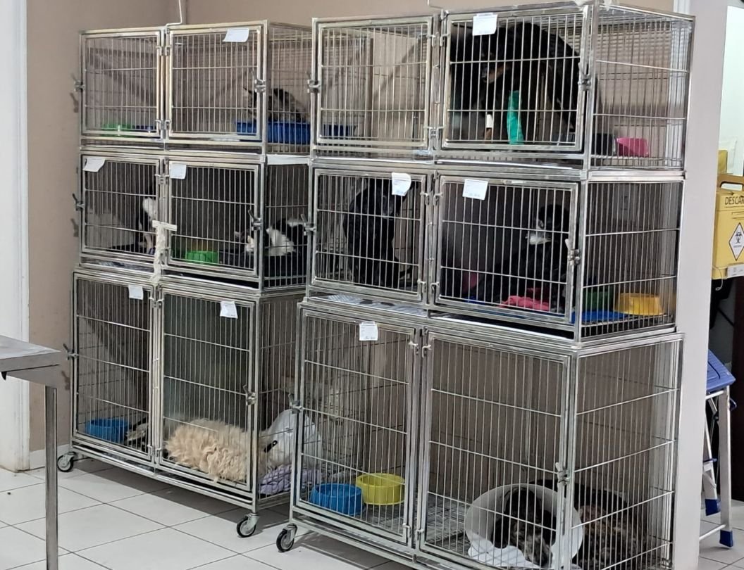 Fiscalização revela irregularidades em clínica veterinária de Joinville