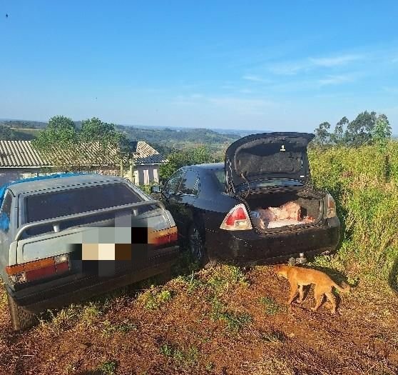 Funcionário é preso por apropriação indébita em São Miguel do Oeste