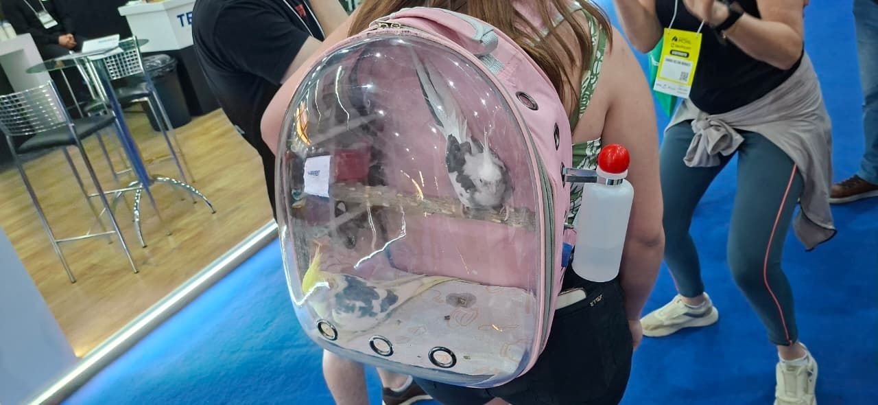 Calopsitas em mochila transparente atraem público no 20º Salão do Imóvel em Chapecó