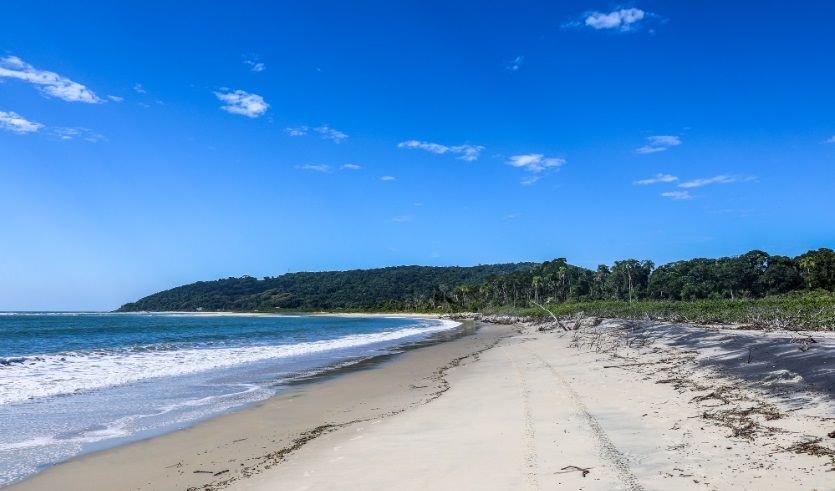 Justiça impede licenciamento de projeto portuário na Praia do Sumidouro, SC