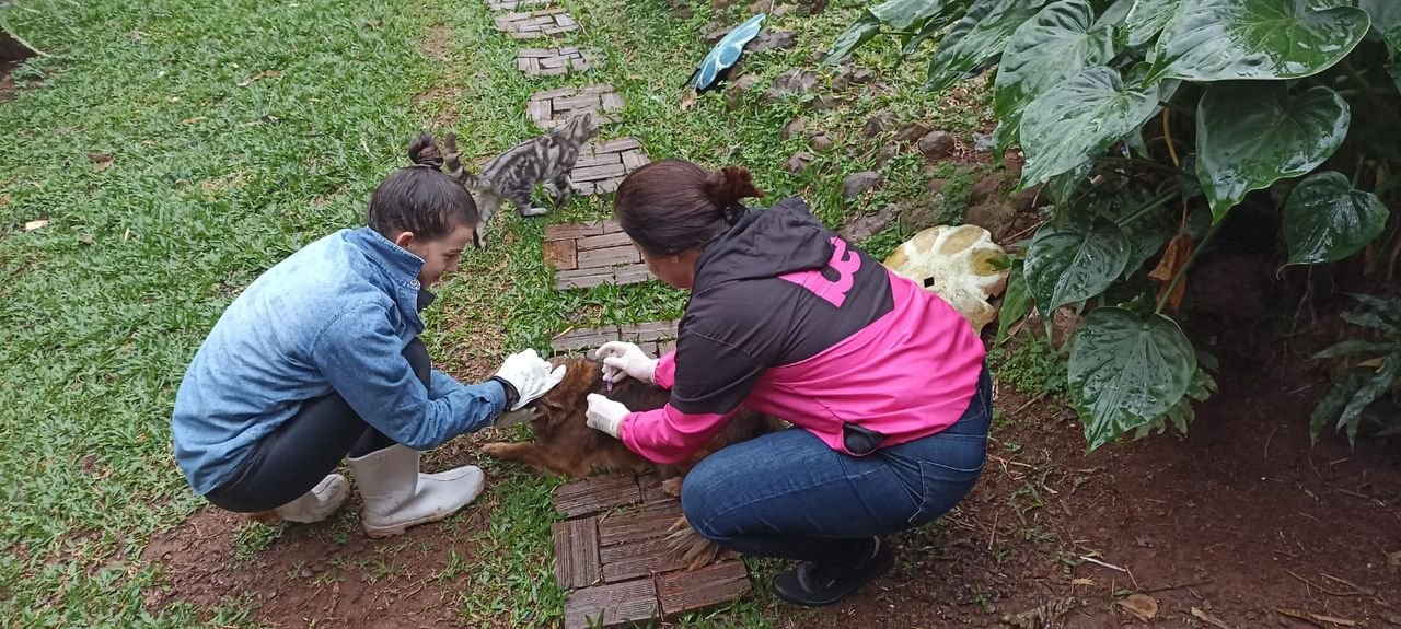 400 doses de vacina antirrábica aplicadas em Descanso