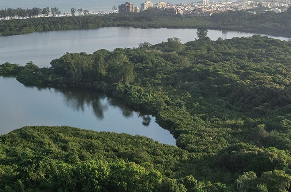 TJSC considera inconstitucional dispensa de compensação ambiental em APPs