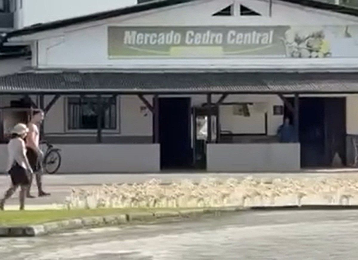 Deslocamento de Marrecos em SC é Utilizado para Controle de Pragas em Arrozais