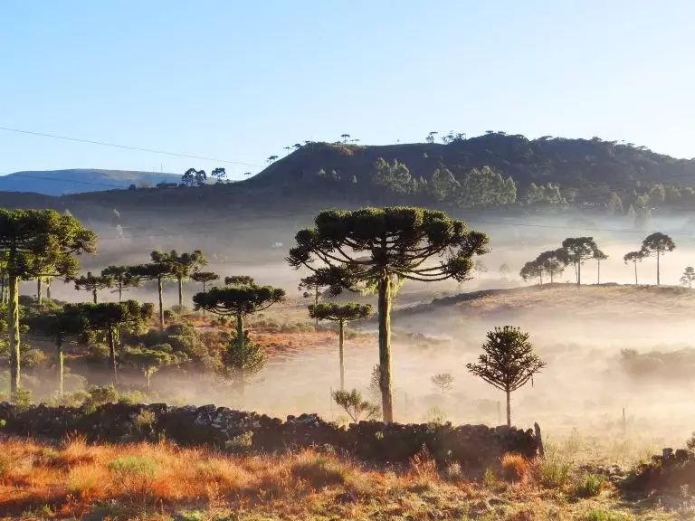 Temperaturas chegam a -1,7°C em Santa Catarina neste domingo