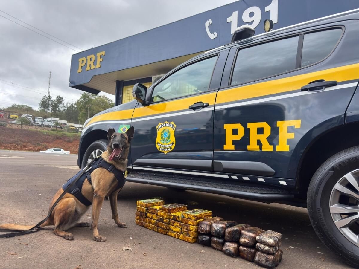 PRF apreende 35 quilos de drogas em carreta na BR-282 em Xanxerê